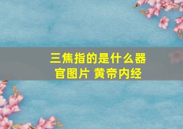 三焦指的是什么器官图片 黄帝内经